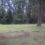 This open space near the Bothell-Kirkland border has been renamed Bud Homan Park. CATHERINE KRUMMEY / Kirkland Reporter