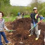 Green Kirkland Partnership volunteers spread mulch at Juanita Bay Park. Contributed photo