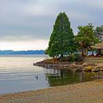 This image of Marina Park won the Kirkland Reporter&rsquo;s masthead photo contest. TIMOTHY DEHAN/Contributed photo