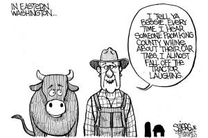 Bessie and car tabs | Cartoon