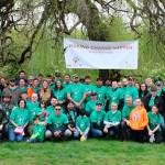 More than 100 Comcast employees, family and friends helped restore Juanita Bay Park as part of the company&rsquo;s Comcast Cares Day. Courtesy photo