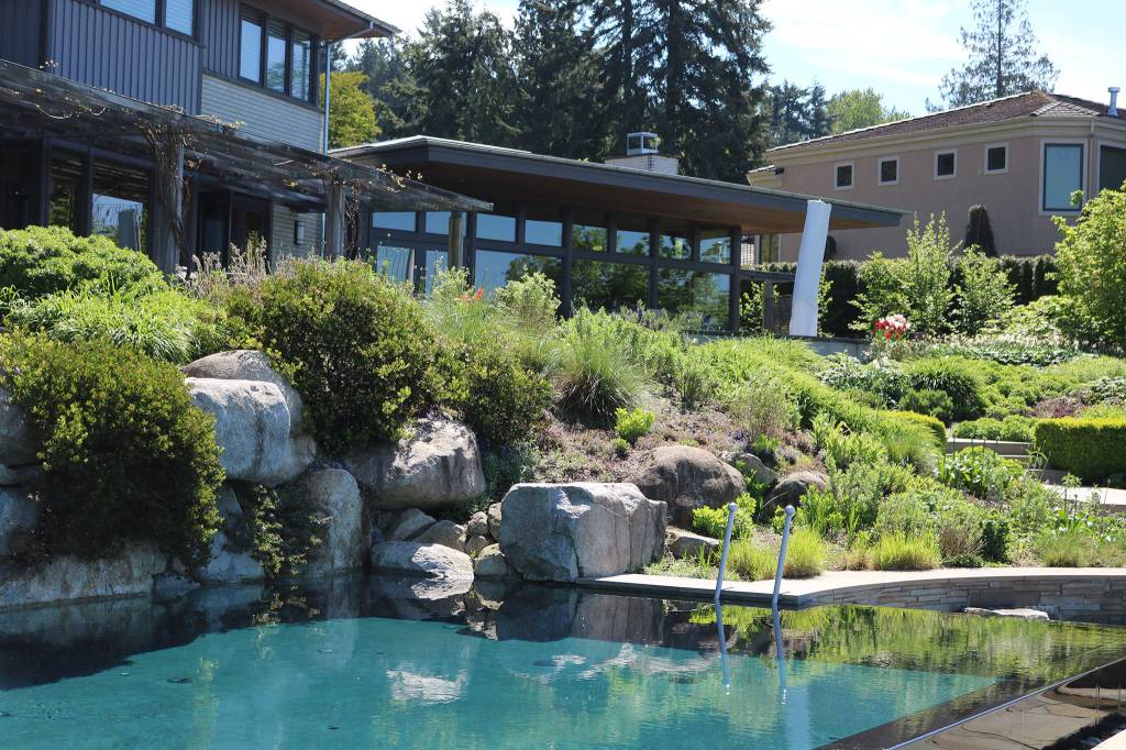 The Bendich property is one of the first in Kirkland and Washington state to take part in the Green Shores for Homes program. CATHERINE KRUMMEY / Kirkland Reporter