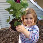 An Evergreen Academy student prepares to plant a flower at the Kirkland school. Contributed photo