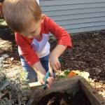 An Evergreen Academy student digs a space for a new plant at the Kirkland preschool. Contributed photo