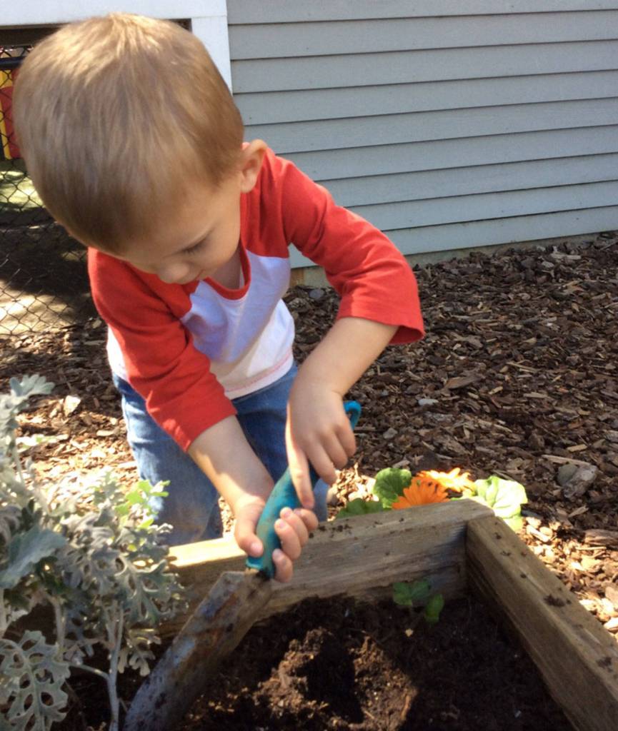 An Evergreen Academy student digs a space for a new plant at the Kirkland preschool. Contributed photo