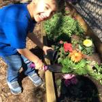 An Evergreen Academy student helps place new plants at the Kirkland preschool. Contributed photo