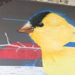 Artist creates crowd-sourced mural