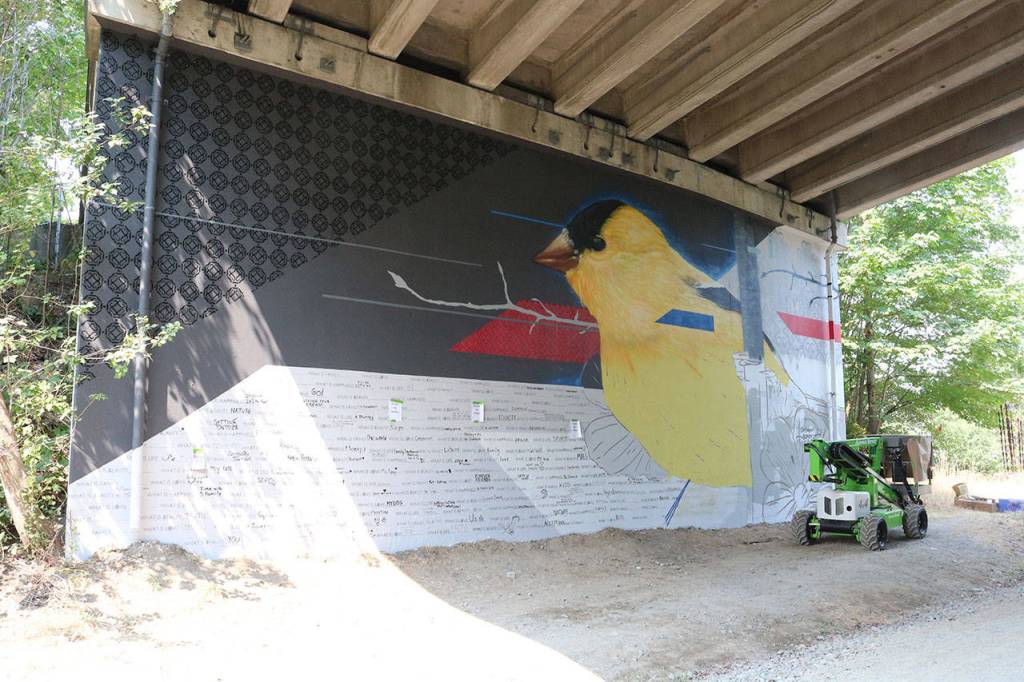 Artist creates crowd-sourced mural