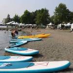 Summerfest treats with live music, food, vendors