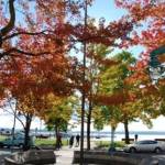 City inducts competitive swimming champion to Plaza of Champions