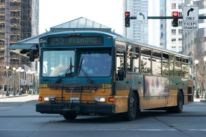 City holds online transit survey