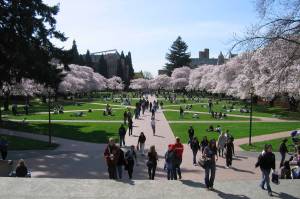 Students could utilize the proposed program to attend state colleges, including the University of Washington in Seattle. Photo by Punctured Bicycle/Wikimedia