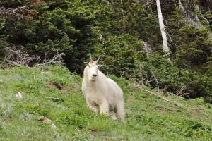 Photo by Miguel Vieira/Flickr