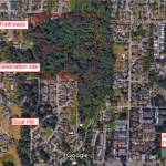 A celebration of the Juanita Heights Park expansion will take place from 3-4 p.m. on June 24, at the cul de sac of 89th Place Northeast. Contributed image