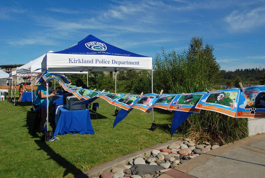 Many pets  mostly dogs  entered the cutest pet contest at Kirklands Pet-a-Palooza. Katie Metzger/staff photo