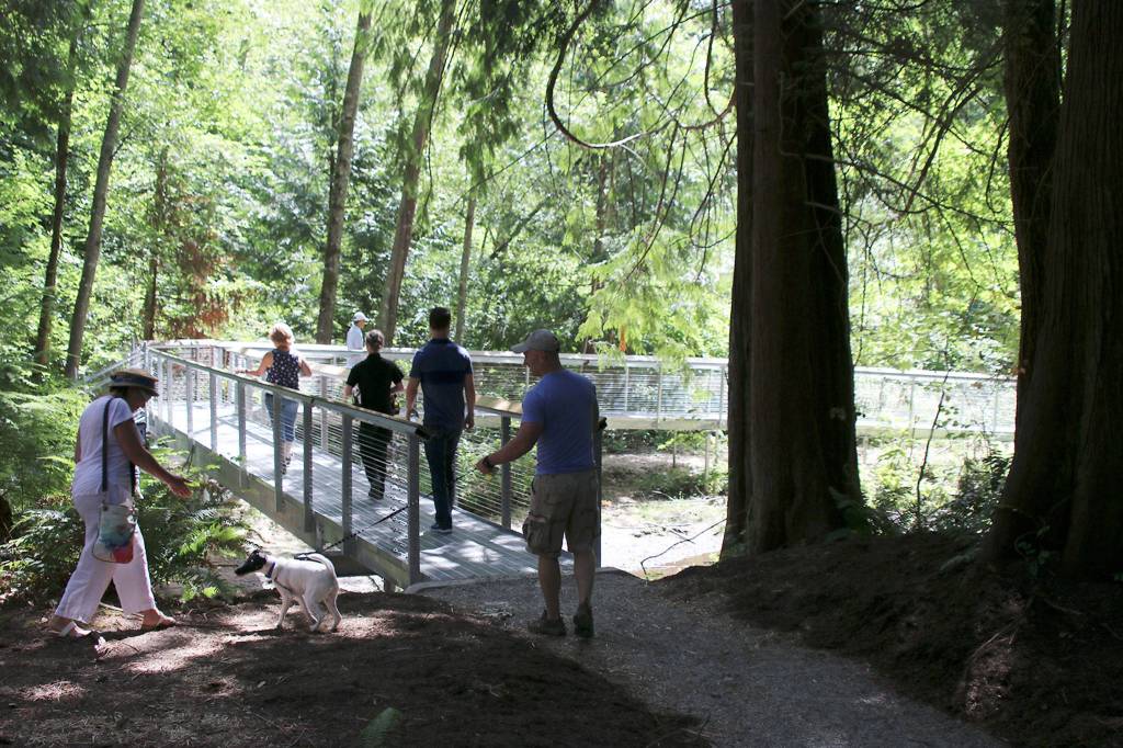 Pets and their owners will enjoy the new off-leash dog trails at Edith Moulton Park. Photo courtesy of the city of Kirkland