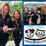 Animal Services pet licensers went door-to-door over the past week to encourage and help locals renew pet licenses. Photo courtesy of the Kirkland Police Department Twitter account