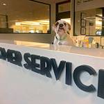 A photo of Kirkland Polices customer service desk that was used to initially promote the animal services program. Photo courtesy of the city of Kirkland