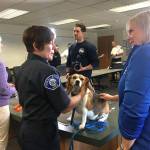 Daisy, a rescued beagle, was another participant in last Thursdays pet oxygen mask demonstrations. Katie Metzger/staff photo