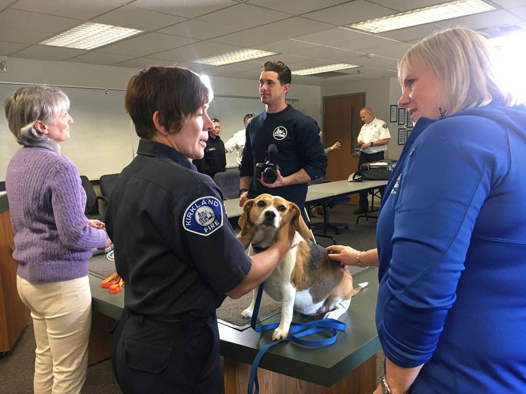 Daisy, a rescued beagle, was another participant in last Thursdays pet oxygen mask demonstrations. Katie Metzger/staff photo