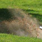 Local golfers finish season at league medalist tournament