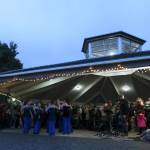 The Collective, a dance group from Kirkland, performs at Winterfest in Marina Park on Dec. 1. Katie Metzger/staff photo