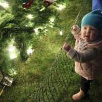 Kirkland lights holiday tree at Winterfest