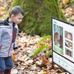 The Bear and the Piano by David Litchfield was one of the books featured in 2018 by PopUp StoryWalk. Photo courtesy of Elisabeth Lepine