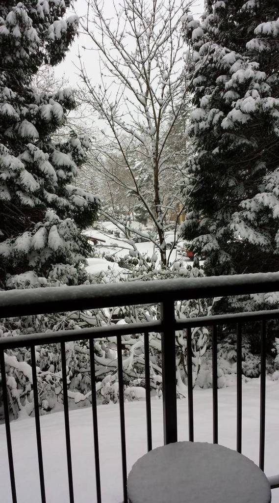 Photo courtesy of Leanne Ingersoll Spaulding