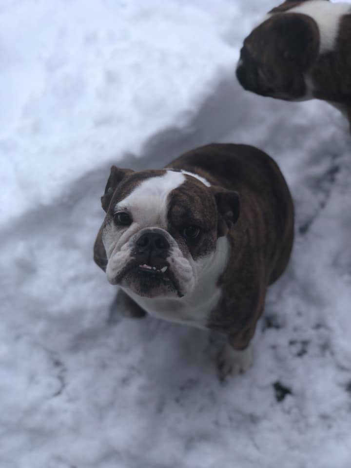 Photo courtesy of Jeff Keener