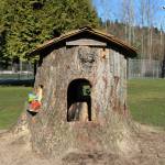 Ryug Frostinson’s home for fairies, elves and gnomes open at Kirkland’s Juanita Park
