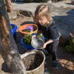 Four-year-old Emma Aasebo waters some of the plants outdoors at one of the Kiwassa Neighbourhood Houses child care centers. Ashley Hiruko/staff photo