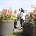 KDA is working towards completing all the adoptions by mid-May. Stephanie Quiroz/staff photo.