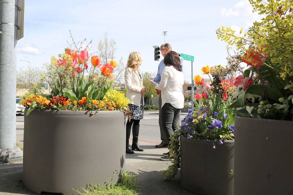 KDA is working towards completing all the adoptions by mid-May. Stephanie Quiroz/staff photo.