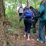 The third path through the conservation site was created for a local Eagle Scout project. Madeline Coats/staff photo