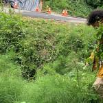 Volunteer Robert Moreno removes invasive species from the conservation site behind Lake Washington Christian Church. Madeline Coats/staff photo