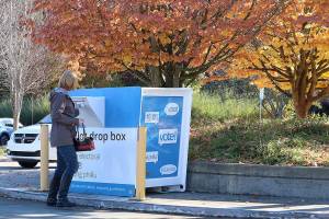 Bliesner leading over Wilkins in LWSD school board race