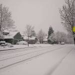 All LWSD schools closed Monday due to snow. Madison Miller/staff photo