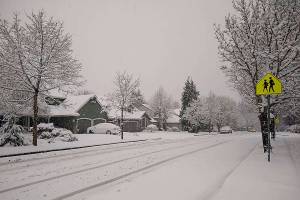All LWSD schools closed Monday due to snow. Madison Miller/staff photo