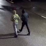 The suspects fleeing the scene. Visual courtesy of Kirkland police