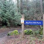 Big Finn Hill Park entrance. Blake Peterson/staff photo