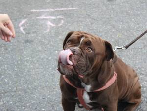 File photo. Blake Peterson/staff photo