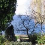 Photo courtesy of the city of Kirkland