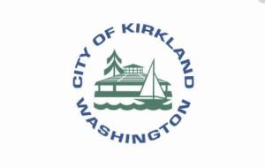 Businesses asked to close by 1 p.m., visitors to avoid commercial shopping areas