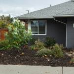 Example of what it can look like when you replace a grass lawn with native plants. Photo by Henry Stewart-Wood/Sound Publishing