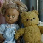 (Photo by Annari du Plessis on Pexels)