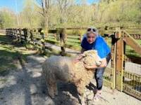 kirklandreporter.com - none - Sheep shearing festival at Kelsey Creek Farm | Meanderings by Mindy Stern