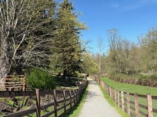 Kelsey Creek path. Photo by Mindy Stern