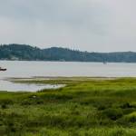 Belfare State Parks scenic shoreline. Photo courtesy Washington State Parks and Recreation
